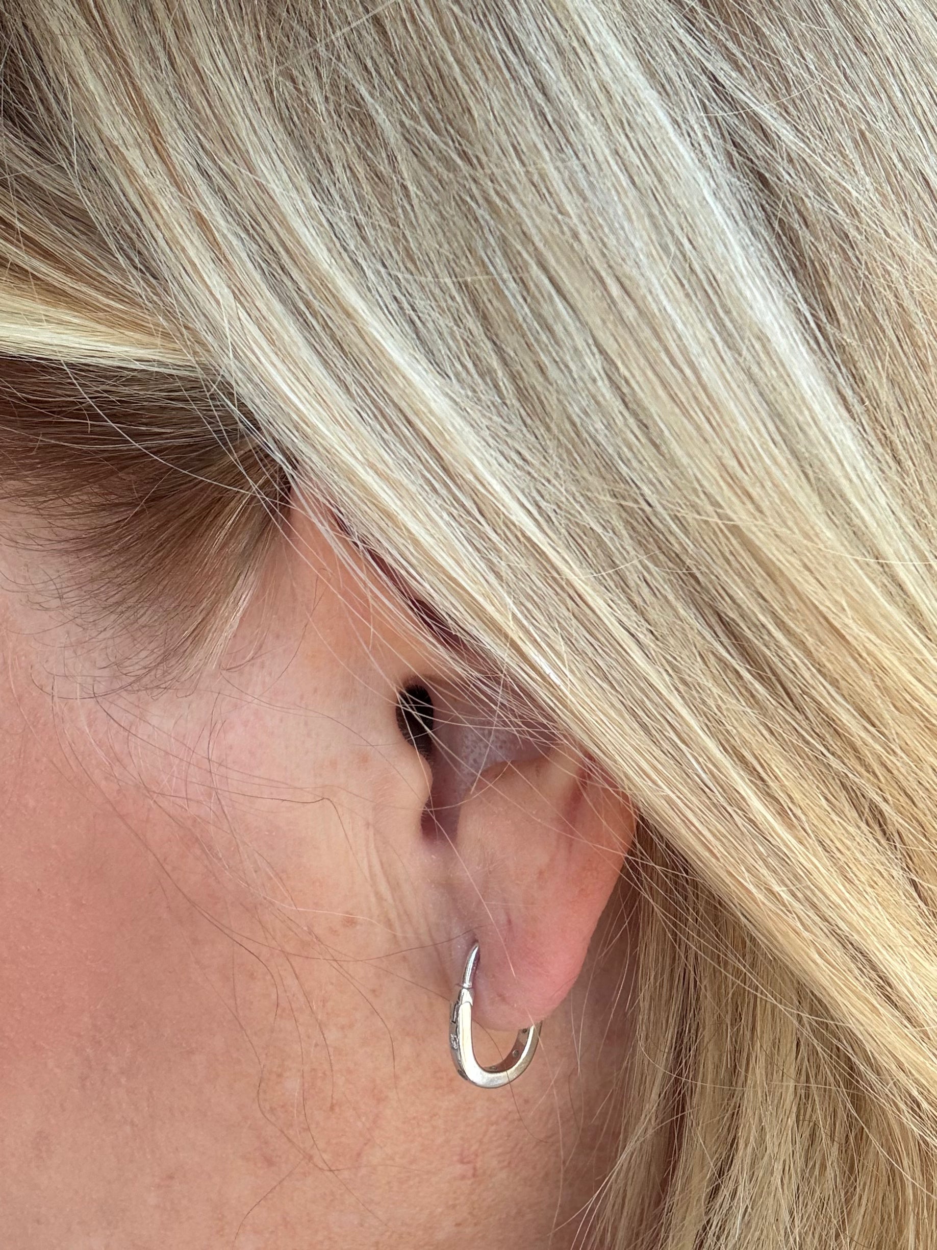 Oblong Hoop Earrings